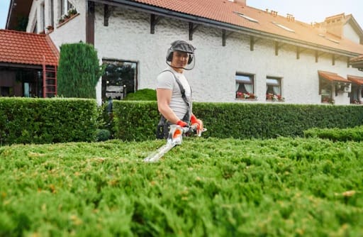 BNL Services in Singapore